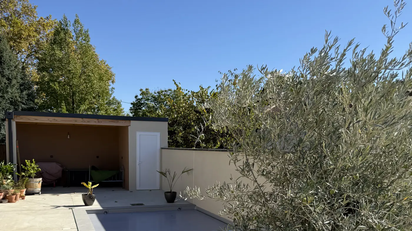 Terrasse, piscine et olivier
